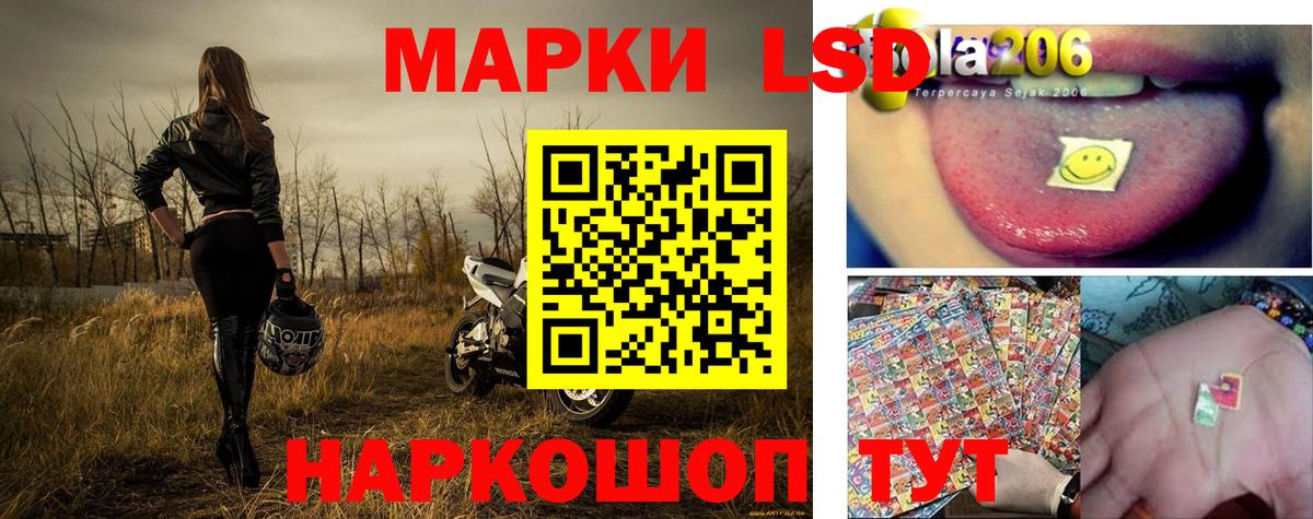 Псилоцибиновые грибы Азнакаево