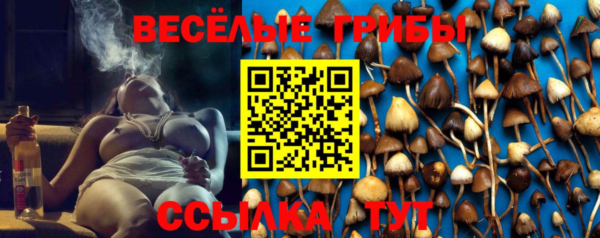 Псилоцибиновые грибы MAGIC MUSHROOMS Азнакаево